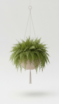 Helecho colgante verde musgo artificial